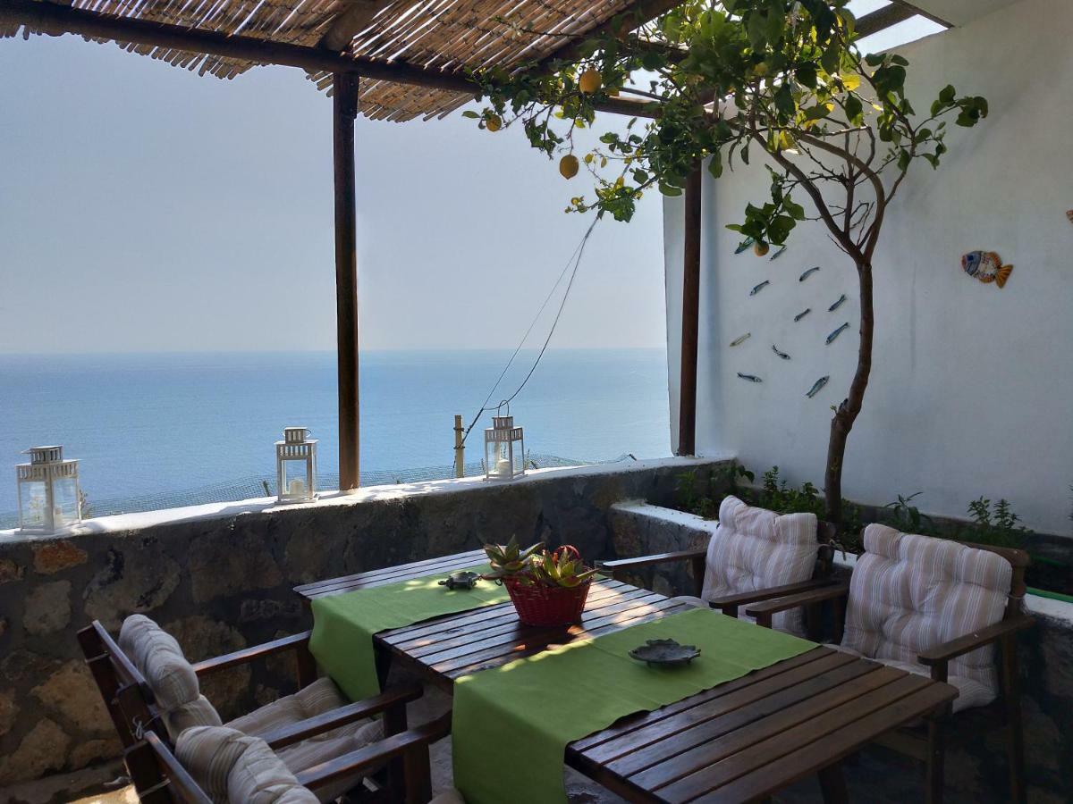 Mareluna Holiday Holiday home *